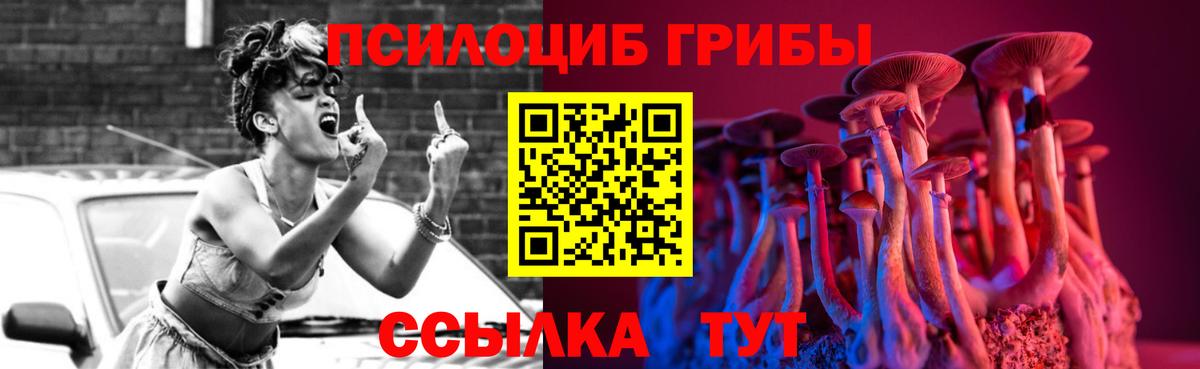 Галлюциногенные грибы GOLDEN TEACHER  Вход с VPN  Егорьевск  Галлюциногенные грибы мухоморы 