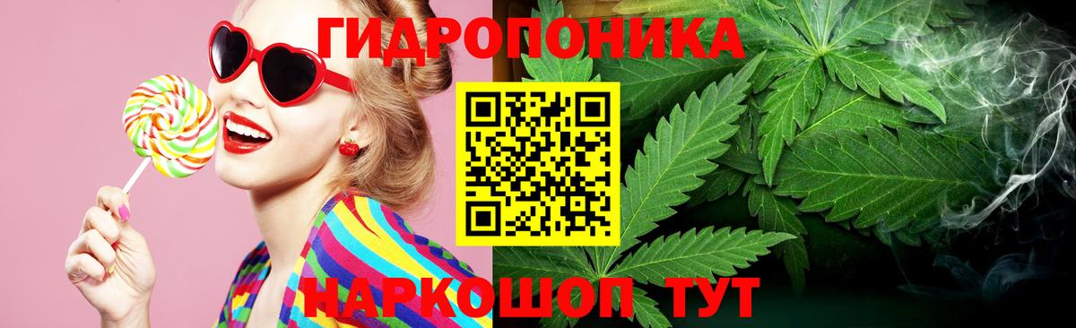 Бошки марихуана марихуана Егорьевск